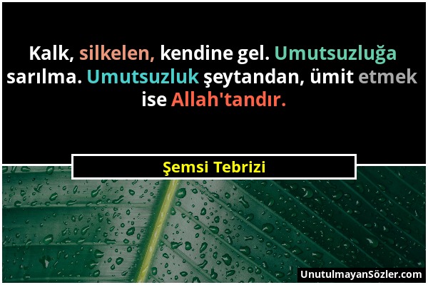 Şemsi Tebrizi - Kalk, silkelen, kendine gel. Umutsuzluğa sarılma. Umutsuzluk şeytandan, ümit etmek ise Allah'tandır....