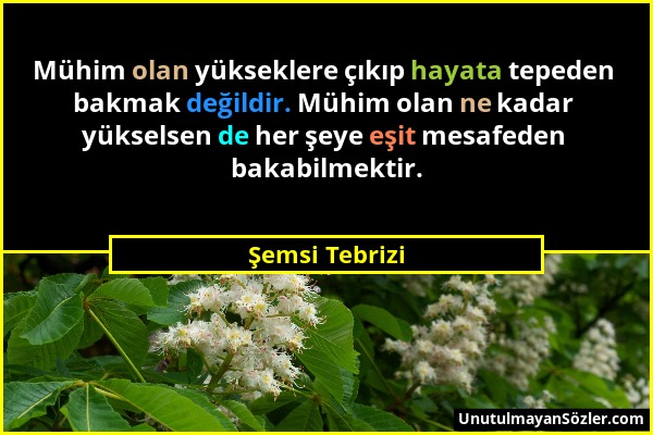 Şemsi Tebrizi - Mühim olan yükseklere çıkıp hayata tepeden bakmak değildir. Mühim olan ne kadar yükselsen de her şeye eşit mesafeden bakabilmektir....