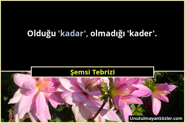 Şemsi Tebrizi - Olduğu 'kadar', olmadığı 'kader'....