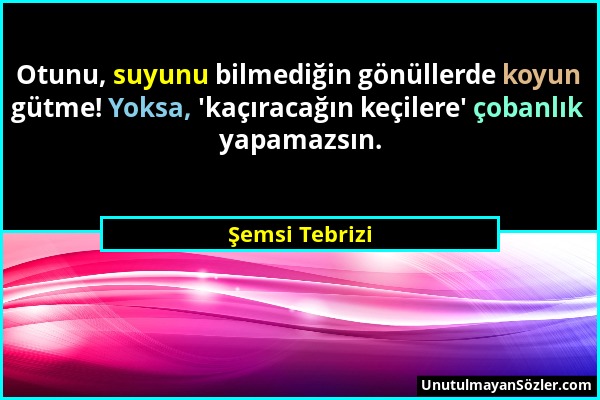 Şemsi Tebrizi - Otunu, suyunu bilmediğin gönüllerde koyun gütme! Yoksa, 'kaçıracağın keçilere' çobanlık yapamazsın....