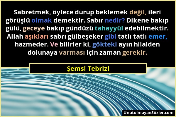 Şemsi Tebrizi - Sabretmek, öylece durup beklemek değil, ileri görüşlü olmak demektir. Sabır nedir? Dikene bakıp gülü, geceye bakıp gündüzü tahayyül ed...