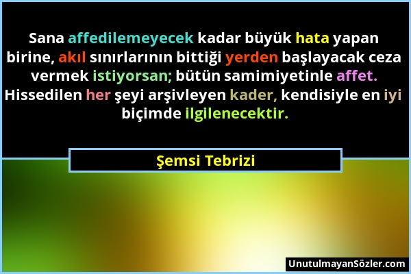 Şemsi Tebrizi - Sana affedilemeyecek kadar büyük hata yapan birine, akıl sınırlarının bittiği yerden başlayacak ceza vermek istiyorsan; bütün samimiye...