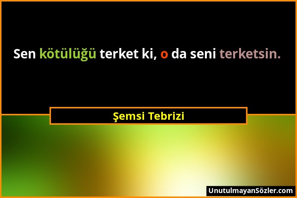 Şemsi Tebrizi - Sen kötülüğü terket ki, o da seni terketsin....
