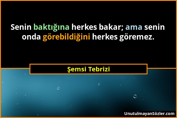 Şemsi Tebrizi - Senin baktığına herkes bakar; ama senin onda görebildiğini herkes göremez....