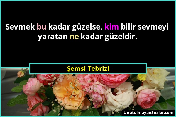 Şemsi Tebrizi - Sevmek bu kadar güzelse, kim bilir sevmeyi yaratan ne kadar güzeldir....