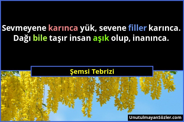 Şemsi Tebrizi - Sevmeyene karınca yük, sevene filler karınca. Dağı bile taşır insan aşık olup, inanınca....