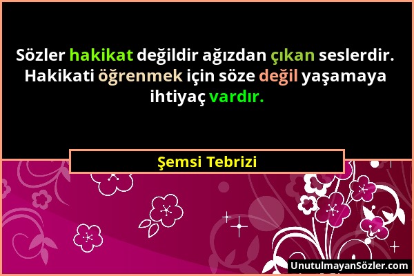 Şemsi Tebrizi - Sözler hakikat değildir ağızdan çıkan seslerdir. Hakikati öğrenmek için söze değil yaşamaya ihtiyaç vardır....