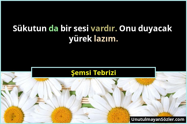 Şemsi Tebrizi - Sükutun da bir sesi vardır. Onu duyacak yürek lazım....