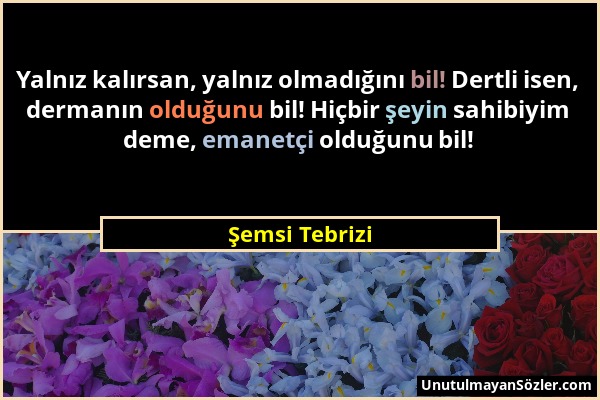 Şemsi Tebrizi - Yalnız kalırsan, yalnız olmadığını bil! Dertli isen, dermanın olduğunu bil! Hiçbir şeyin sahibiyim deme, emanetçi olduğunu bil!...