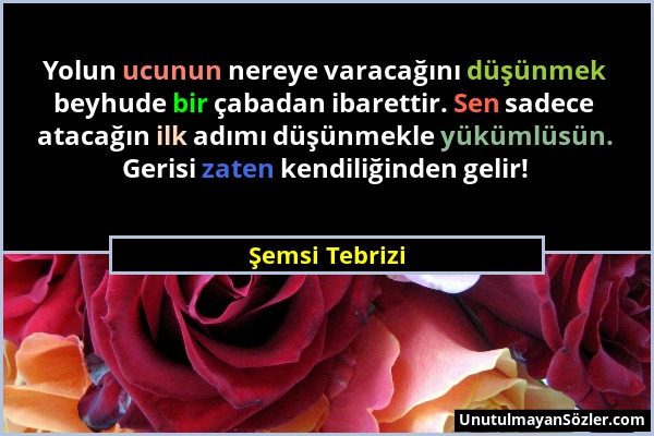 Şemsi Tebrizi - Yolun ucunun nereye varacağını düşünmek beyhude bir çabadan ibarettir. Sen sadece atacağın ilk adımı düşünmekle yükümlüsün. Gerisi zat...