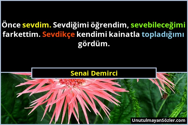 Senai Demirci - Önce sevdim. Sevdiğimi öğrendim, sevebileceğimi farkettim. Sevdikçe kendimi kainatla topladığımı gördüm....