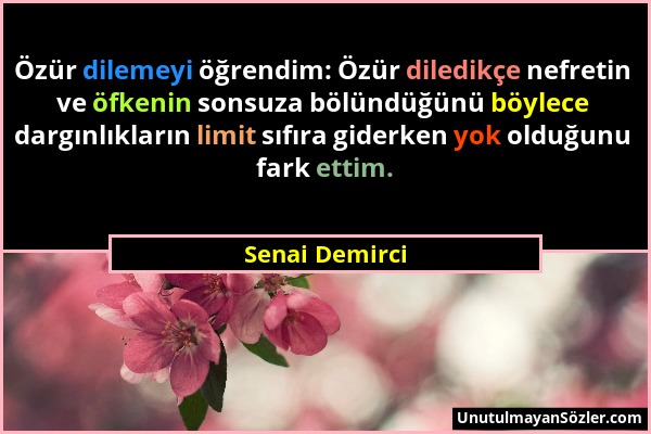 Senai Demirci - Özür dilemeyi öğrendim: Özür diledikçe nefretin ve öfkenin sonsuza bölündüğünü böylece dargınlıkların limit sıfıra giderken yok olduğu...