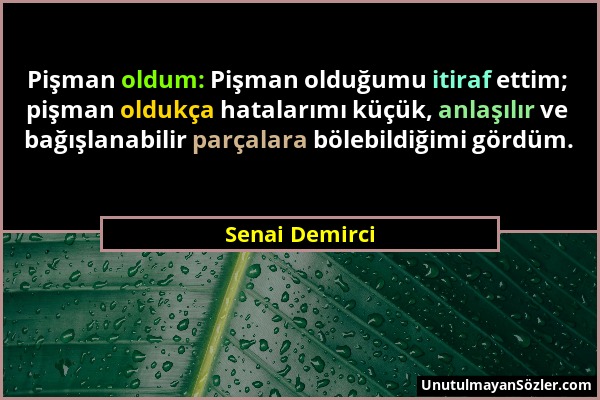 Senai Demirci - Pişman oldum: Pişman olduğumu itiraf ettim; pişman oldukça hatalarımı küçük, anlaşılır ve bağışlanabilir parçalara bölebildiğimi gördü...