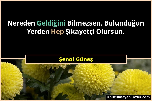 Şenol Güneş - Nereden Geldiğini Bilmezsen, Bulunduğun Yerden Hep Şikayetçi Olursun....