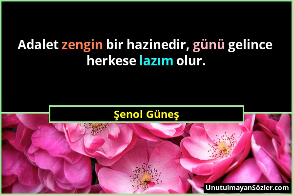 Şenol Güneş - Adalet zengin bir hazinedir, günü gelince herkese lazım olur....