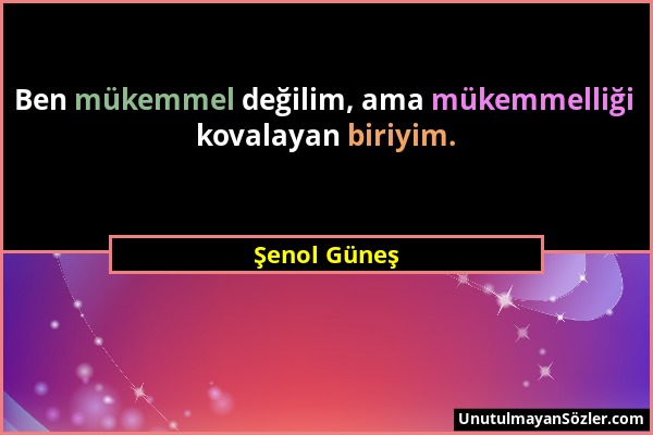 Şenol Güneş - Ben mükemmel değilim, ama mükemmelliği kovalayan biriyim....