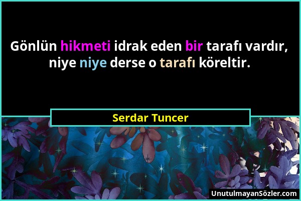 Serdar Tuncer - Gönlün hikmeti idrak eden bir tarafı vardır, niye niye derse o tarafı köreltir....