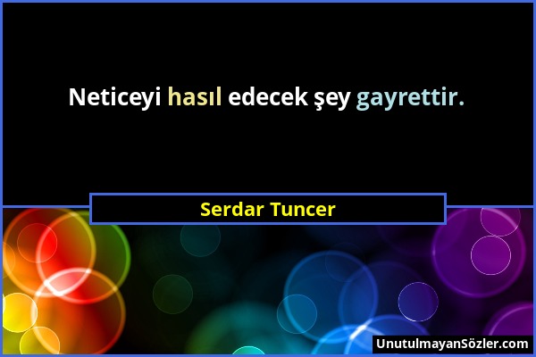 Serdar Tuncer - Neticeyi hasıl edecek şey gayrettir....