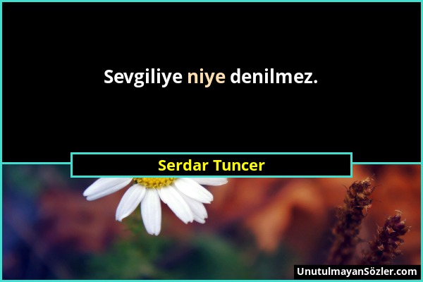 Serdar Tuncer - Sevgiliye niye denilmez....