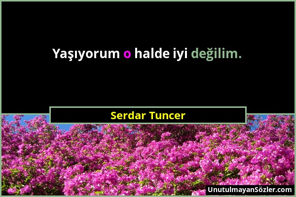 Serdar Tuncer - Yaşıyorum o halde iyi değilim....