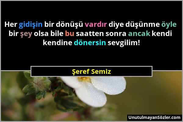 Şeref Semiz - Her gidişin bir dönüşü vardır diye düşünme öyle bir şey olsa bile bu saatten sonra ancak kendi kendine dönersin sevgilim!...