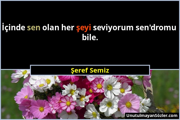 Şeref Semiz - İçinde sen olan her şeyi seviyorum sen'dromu bile....