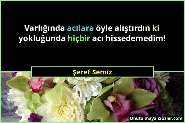 Şeref Semiz - Varlığında acılara öyle alıştırdın ki yokluğunda hiçbir acı hissedemedim!...