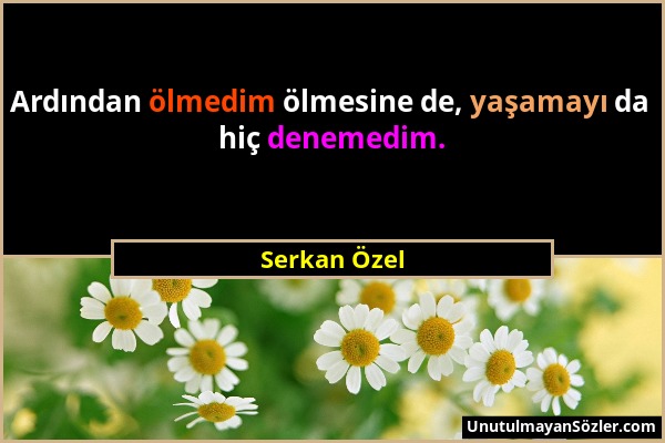 Serkan Özel - Ardından ölmedim ölmesine de, yaşamayı da hiç denemedim....