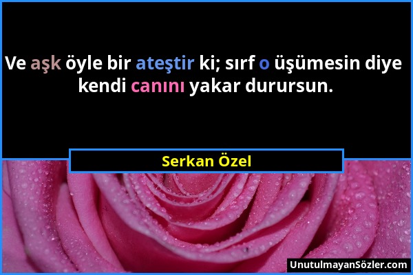 Serkan Özel - Ve aşk öyle bir ateştir ki; sırf o üşümesin diye kendi canını yakar durursun....