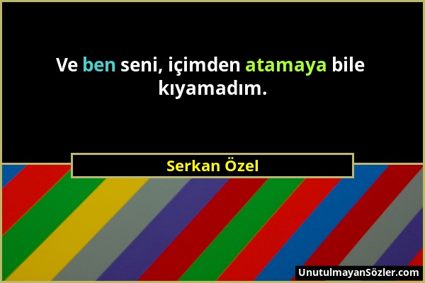 Serkan Özel - Ve ben seni, içimden atamaya bile kıyamadım....
