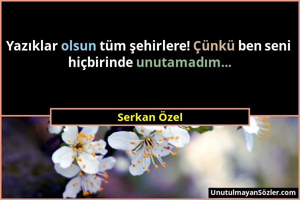 Serkan Özel - Yazıklar olsun tüm şehirlere! Çünkü ben seni hiçbirinde unutamadım......