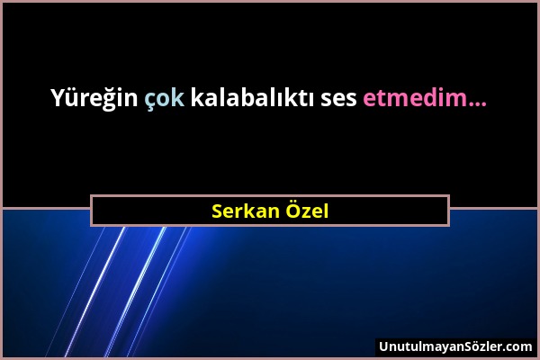 Serkan Özel - Yüreğin çok kalabalıktı ses etmedim......