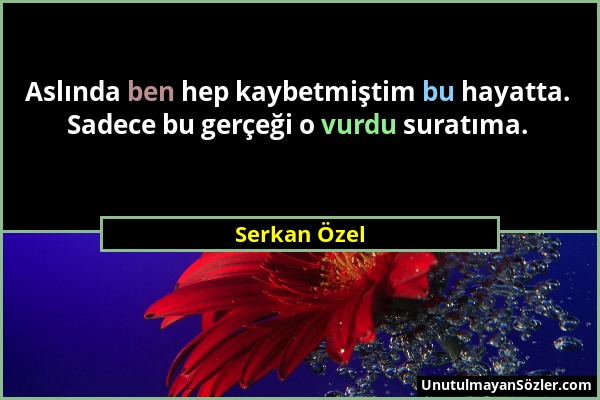 Serkan Özel - Aslında ben hep kaybetmiştim bu hayatta. Sadece bu gerçeği o vurdu suratıma....