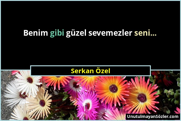 Serkan Özel - Benim gibi güzel sevemezler seni......