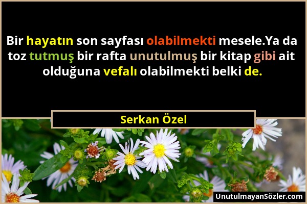 Serkan Özel - Bir hayatın son sayfası olabilmekti mesele.Ya da toz tutmuş bir rafta unutulmuş bir kitap gibi ait olduğuna vefalı olabilmekti belki de....