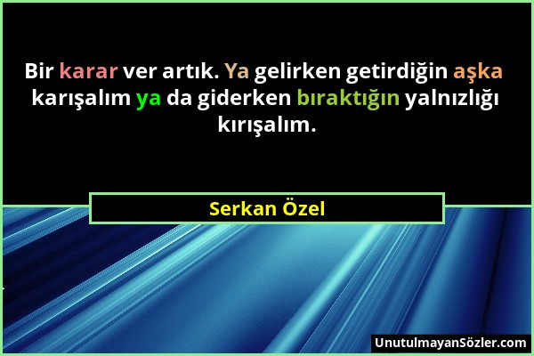 Serkan Özel - Bir karar ver artık. Ya gelirken getirdiğin aşka karışalım ya da giderken bıraktığın yalnızlığı kırışalım....