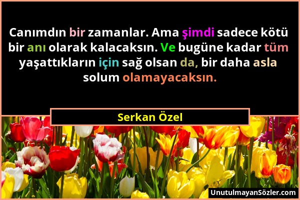 Serkan Özel - Canımdın bir zamanlar. Ama şimdi sadece kötü bir anı olarak kalacaksın. Ve bugüne kadar tüm yaşattıkların için sağ olsan da, bir daha as...