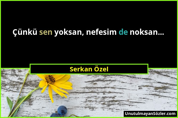 Serkan Özel - Çünkü sen yoksan, nefesim de noksan......