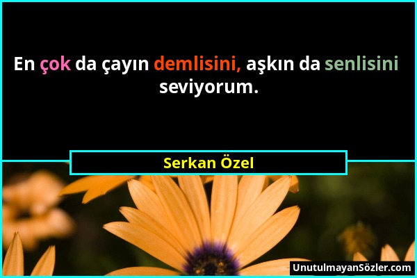 Serkan Özel - En çok da çayın demlisini, aşkın da senlisini seviyorum....