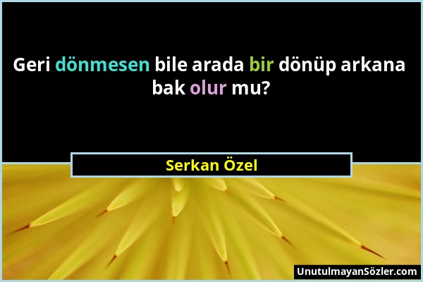 Serkan Özel - Geri dönmesen bile arada bir dönüp arkana bak olur mu?...