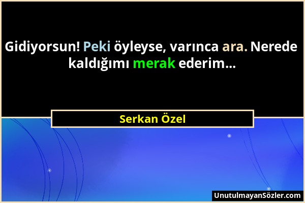 Serkan Özel - Gidiyorsun! Peki öyleyse, varınca ara. Nerede kaldığımı merak ederim......