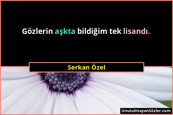 Serkan Özel - Gözlerin aşkta bildiğim tek lisandı....