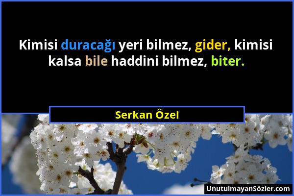 Serkan Özel - Kimisi duracağı yeri bilmez, gider, kimisi kalsa bile haddini bilmez, biter....