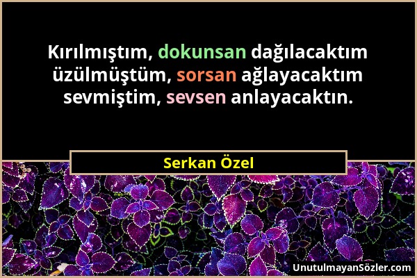 Serkan Özel - Kırılmıştım, dokunsan dağılacaktım üzülmüştüm, sorsan ağlayacaktım sevmiştim, sevsen anlayacaktın....