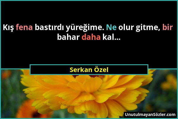 Serkan Özel - Kış fena bastırdı yüreğime. Ne olur gitme, bir bahar daha kal......