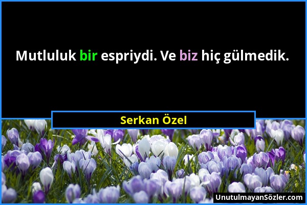 Serkan Özel - Mutluluk bir espriydi. Ve biz hiç gülmedik....