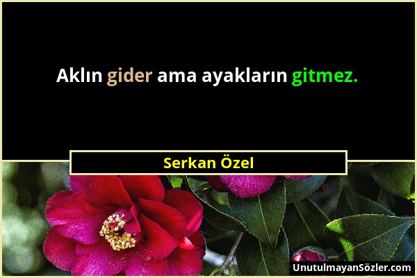 Serkan Özel - Aklın gider ama ayakların gitmez....