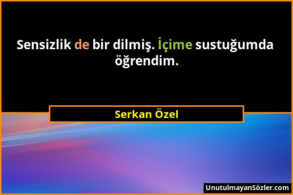 Serkan Özel - Sensizlik de bir dilmiş. İçime sustuğumda öğrendim....