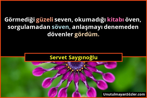 Servet Saygınoğlu - Görmediği güzeli seven, okumadığı kitabı öven, sorgulamadan söven, anlaşmayı denemeden dövenler gördüm....