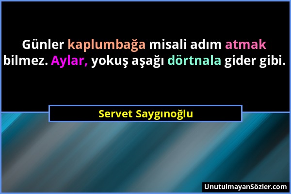 Servet Saygınoğlu - Günler kaplumbağa misali adım atmak bilmez. Aylar, yokuş aşağı dörtnala gider gibi....